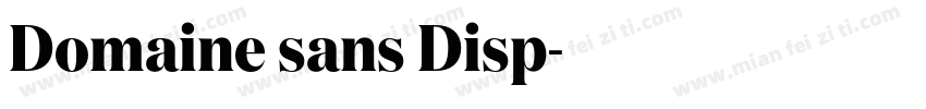 Domaine sans Disp字体转换